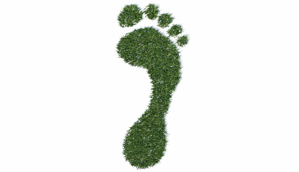 Effective ways your business can reduce its carbon footprint