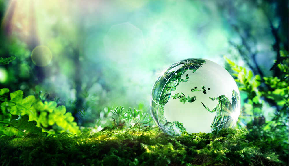 Four reasons your business should embrace sustainability